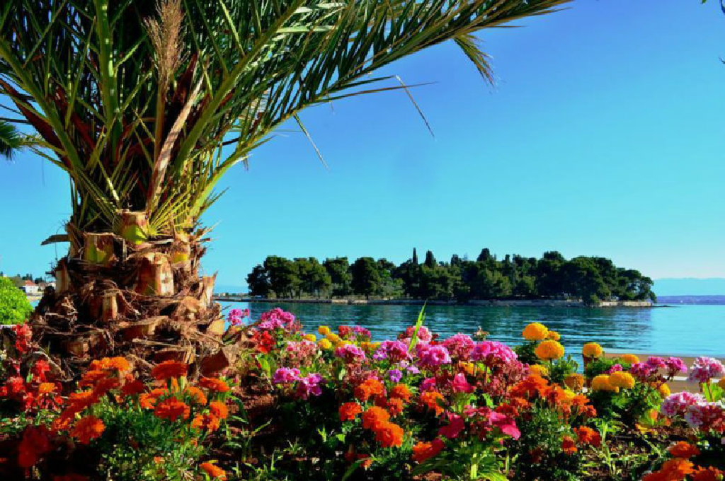 Ugljan-Preko - Vila Majer App."VELIKI" 4+2